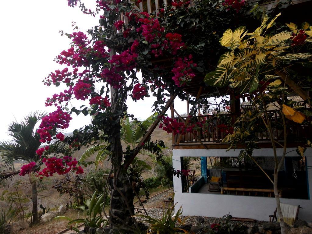 Maremonti Bed & Breakfast Puerto López Exteriér fotografie