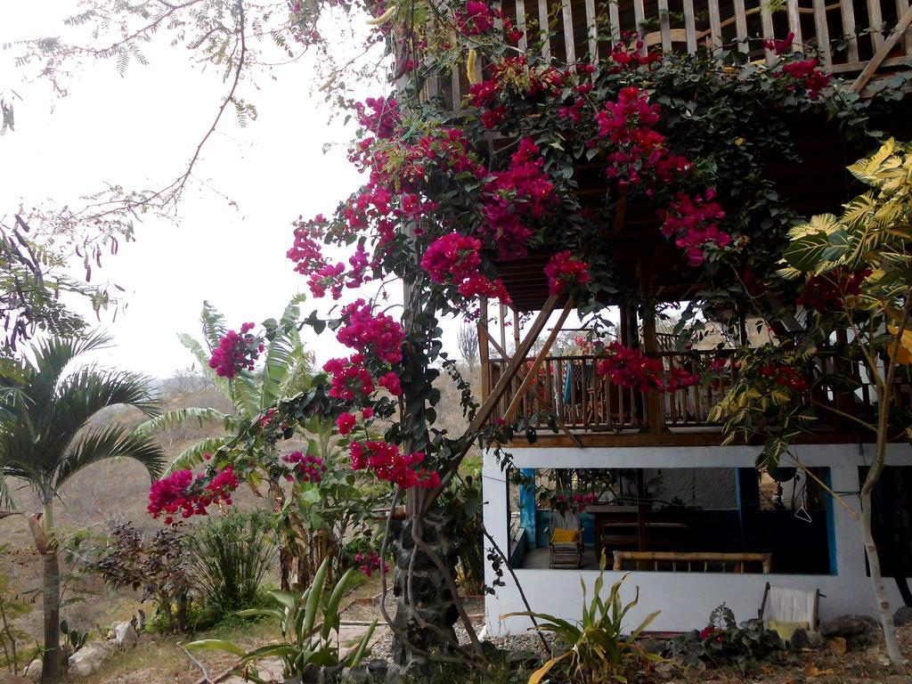 Maremonti Bed & Breakfast Puerto López Exteriér fotografie