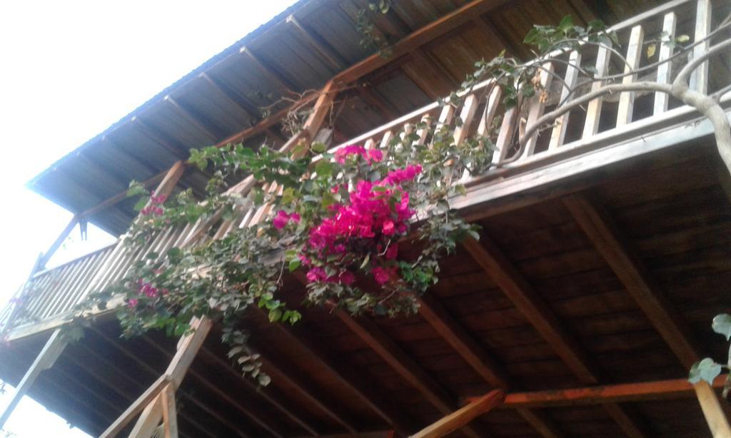 Maremonti Bed & Breakfast Puerto López Exteriér fotografie